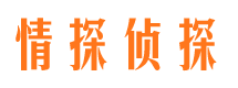 梅里斯市场调查